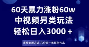 60天暴力涨粉60W，中视频另类玩法，日入3000＋，几分钟一条原创作品多种变现方式-葛仙仙资源库