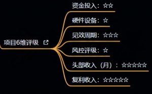 十万个富翁修炼宝典之4.一个大学生操作这个项目,一个月能搞一万-葛仙仙资源库