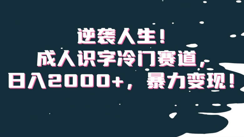 逆袭人生！成人识字冷门赛道，日入2000+，暴力变现！【揭秘】-葛仙仙资源库
