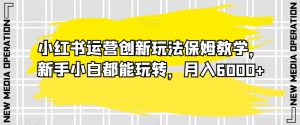 小红书运营创新玩法保姆教学,新手小白都能玩转,月入6000+【揭秘】-葛仙仙资源库
