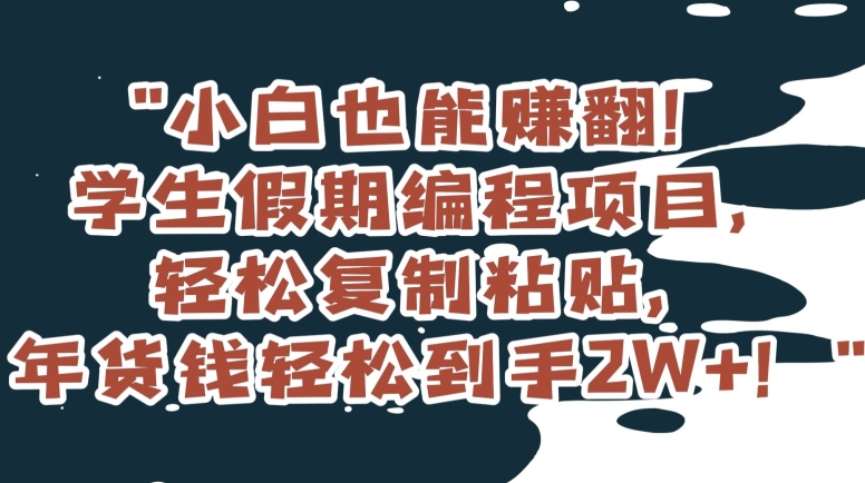 小白也能赚翻！学生假期编程项目，轻松复制粘贴，年货钱轻松到手2W+【揭秘】-葛仙仙资源库