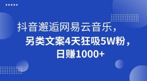 抖音邂逅网易云音乐，另类文案4天狂吸5W粉，日赚1000+【揭秘】-葛仙仙资源库
