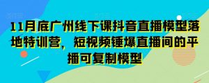 11月底广州线下课抖音直播模型落地特训营，短视频锤爆直播间的平播可复制模型-葛仙仙资源库