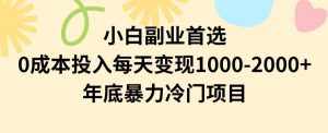 小白副业首选，0成本投入，每天变现1000-2000年底暴力冷门项目【揭秘】-葛仙仙资源库