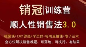 爆款!销冠训练营3.0之顺人性销售法,全方位解决销售难题、可落地、可执行、有结果-葛仙仙资源库