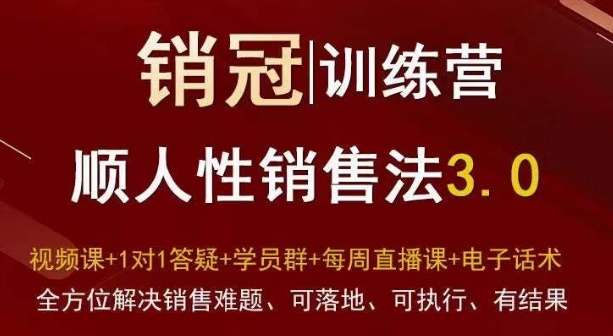 爆款！销冠训练营3.0之顺人性销售法，全方位解决销售难题、可落地、可执行、有结果-葛仙仙资源库