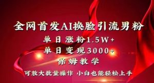 全网首发Ai换脸引流男粉，单日涨粉1.5w+，单日变现3000+，小白也能轻松上手拿结果【揭秘】-葛仙仙资源库