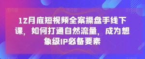 12月底短视频全案操盘手线下课,如何打通自然流量,成为想象级IP必备要素-葛仙仙资源库