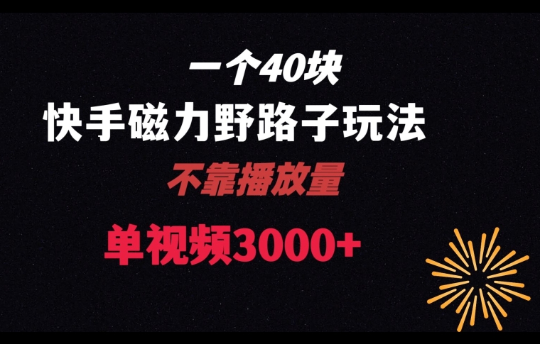 一个40块，快手联合美团磁力新玩法，无视机制野路子玩法，单视频收益4位数【揭秘】-葛仙仙资源库