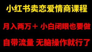 小红书卖恋爱情商课程,月入两万+,小白闭眼也要做,自带流量,无脑操作就行了【揭秘】-葛仙仙资源库