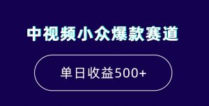 中视频小众爆款赛道，7天涨粉5万+，小白也能无脑操作，轻松月入上万【揭秘】-葛仙仙资源库