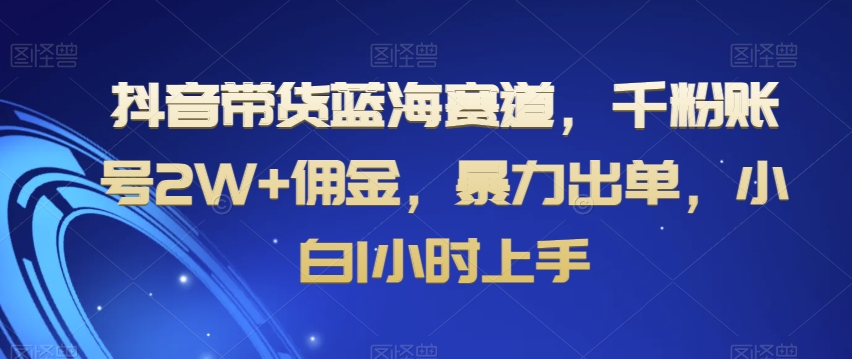 抖音带货蓝海赛道，千粉账号2W+佣金，暴力出单，小白1小时上手【揭秘】-葛仙仙资源库