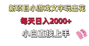 新项目小游戏文字玩出花日入2000+,每天只需一小时,小白直接上手【揭秘】-葛仙仙资源库