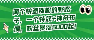 两个快速涨粉的野路子,一个特效+神奇布偶,粉丝暴涨5000起【揭秘】-葛仙仙资源库