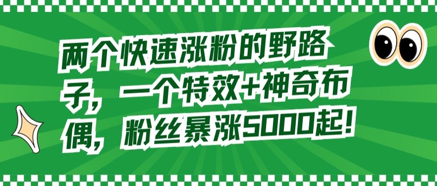 两个快速涨粉的野路子，一个特效+神奇布偶，粉丝暴涨5000起【揭秘】-葛仙仙资源库
