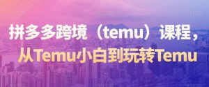 拼多多跨境(temu)课程,从Temu小白到玩转Temu-葛仙仙资源库