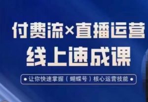 视频号付费流实操课程,付费流✖️直播运营速成课,让你快速掌握视频号核心运营技能-葛仙仙资源库