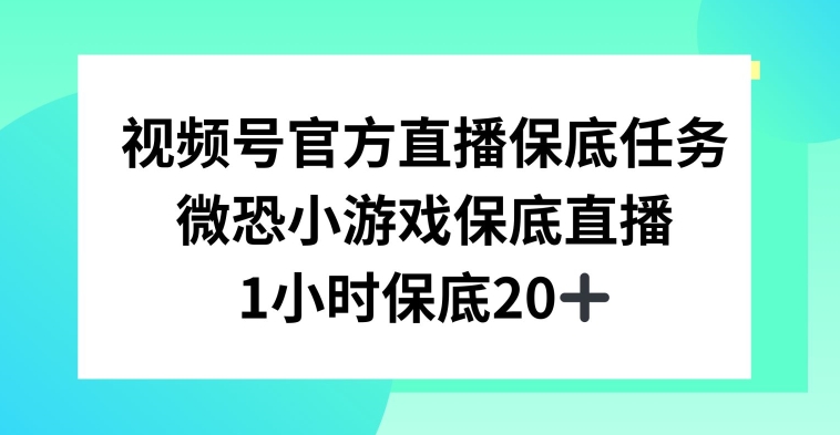 视频号直播任务，微恐小游戏，1小时20+【揭秘】-葛仙仙资源库