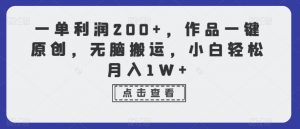 一单利润200+,作品一键原创,无脑搬运,小白轻松月入1W+【揭秘】-葛仙仙资源库