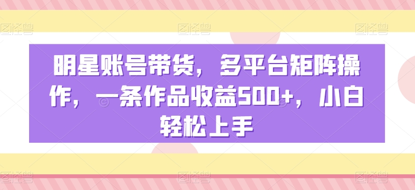 明星账号带货，多平台矩阵操作，一条作品收益500+，小白轻松上手【揭秘】-葛仙仙资源库