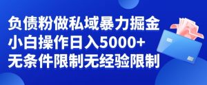 负债粉私域暴力掘金,小白操作入5000,无经验限制,无条件限制【揭秘】-葛仙仙资源库