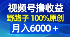 视频号野路子撸收益,100%原创,条条爆款,月入6000+【揭秘】-葛仙仙资源库