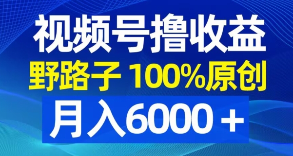 视频号野路子撸收益，100%原创，条条爆款，月入6000＋【揭秘】-葛仙仙资源库