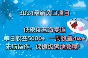 2024最新风口项目,低密度蓝海赛道,单日收益5000+,一周收益4w+!【揭秘】-葛仙仙资源库