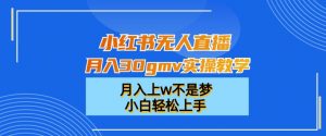 小红书无人直播月入30gmv实操教学,月入上w不是梦,小白轻松上手【揭秘】-葛仙仙资源库