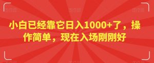 小白已经靠它日入1000+了,操作简单,现在入场刚刚好【揭秘】-葛仙仙资源库
