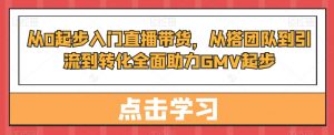 从0起步入门直播带货,从搭团队到引流到转化全面助力GMV起步-葛仙仙资源库
