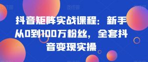 抖音矩阵实战课程:新手从0到100万粉丝,全套抖音变现实操-葛仙仙资源库