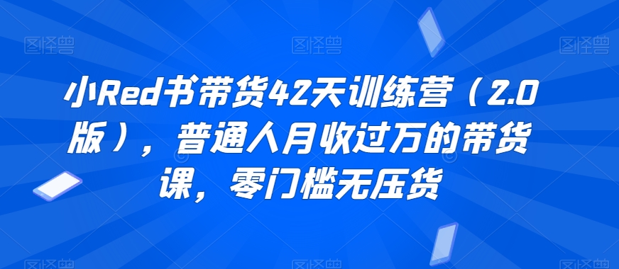 小Red书带货42天训练营（2.0版），普通人月收过万的带货课，零门槛无压货-葛仙仙资源库