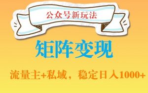 公众号软件玩法私域引流网盘拉新,多种变现,稳定日入1000【揭秘】-葛仙仙资源库