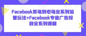 Facebook菜鸟到老鸟全系列运营玩法+Facebook专业广告投放全系列课程-葛仙仙资源库
