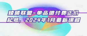臻曦联盟-单品微付费正价起号，2024年1月最新课程-葛仙仙资源库