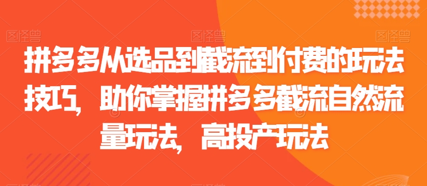 拼多多从选品到截流到付费的玩法技巧，助你掌握拼多多截流自然流量玩法，高投产玩法-葛仙仙资源库