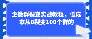 企微群裂变实战教程，低成本从0裂变100个群的-葛仙仙资源库