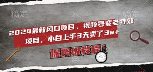 2024最新风口项目,视频号变老特效项目,电脑小白上手3天卖了3w+,保姆级教程【揭秘】-葛仙仙资源库