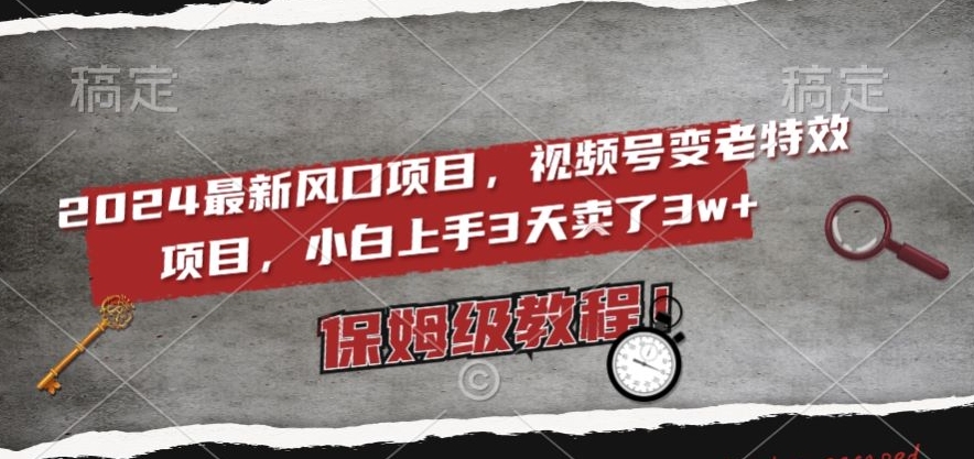 2024最新风口项目，视频号变老特效项目，电脑小白上手3天卖了3w+，保姆级教程【揭秘】-葛仙仙资源库