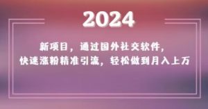 2024新项目，通过国外社交软件，快速涨粉精准引流，轻松做到月入上万【揭秘】-葛仙仙资源库
