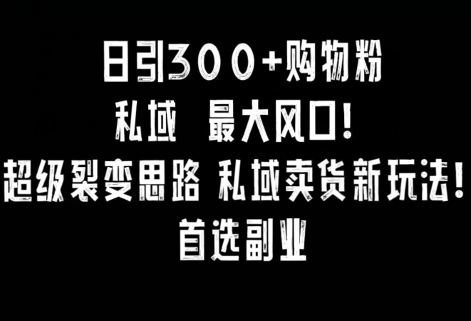 日引300+购物粉，超级裂变思路，私域卖货新玩法，小红书首选副业【揭秘】-葛仙仙资源库