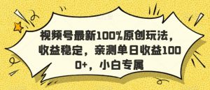 视频号最新100%原创玩法，收益稳定，亲测单日收益1000+，小白专属【揭秘】-葛仙仙资源库