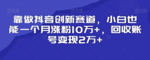 靠做抖音创新赛道,小白也能一个月涨粉10万+,回收账号变现2万+【揭秘】-葛仙仙资源库