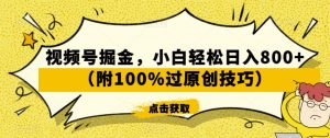 视频号掘金，小白轻松日入800+（附100%过原创技巧）【揭秘】-葛仙仙资源库