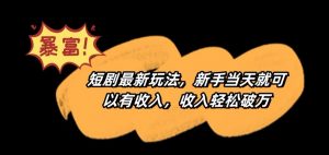 短剧最新玩法,新手当天就可以有收入,收入轻松破万【揭秘】-葛仙仙资源库