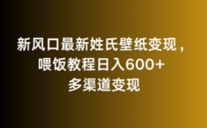 新风口最新姓氏壁纸变现,喂饭教程日入600+【揭秘】-葛仙仙资源库