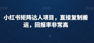 小红书矩阵达人项目,直接复制搬运,回报率非常高-葛仙仙资源库