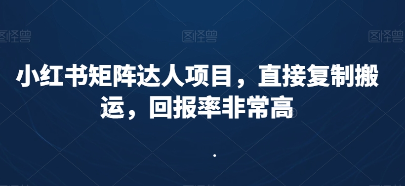 小红书矩阵达人项目，直接复制搬运，回报率非常高-葛仙仙资源库