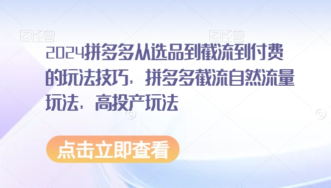 2024拼多多从选品到截流到付费的玩法技巧，拼多多截流自然流量玩法，高投产玩法-葛仙仙资源库